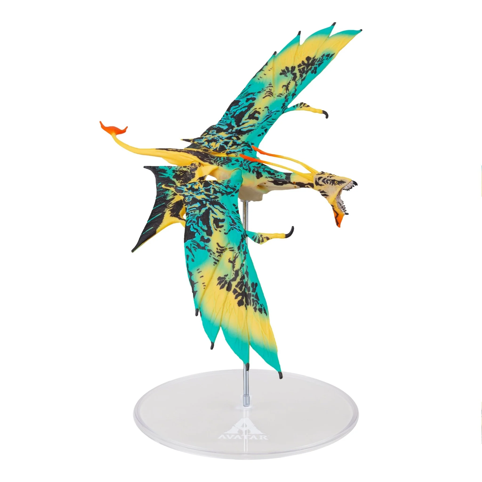 Thumb 3